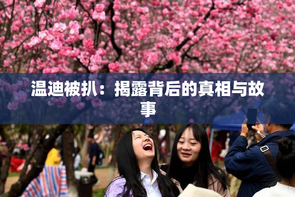 温迪被扒：揭露背后的真相与故事