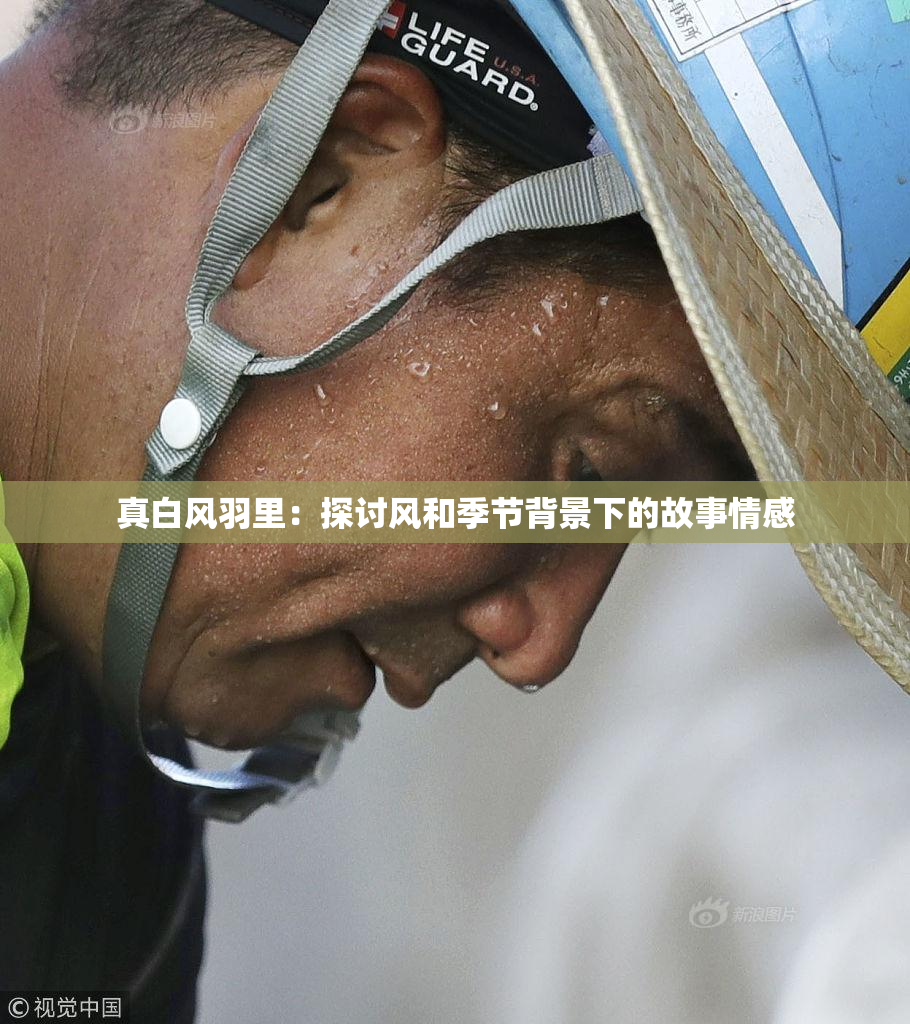 真白风羽里：探讨风和季节背景下的故事情感