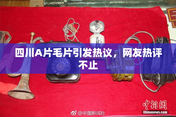 四川A片毛片引发热议，网友热评不止