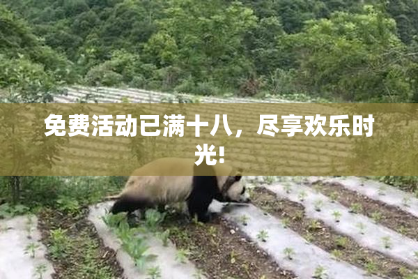 免费活动已满十八，尽享欢乐时光!