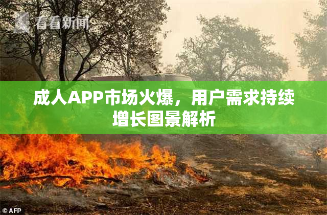 成人APP市场火爆，用户需求持续增长图景解析