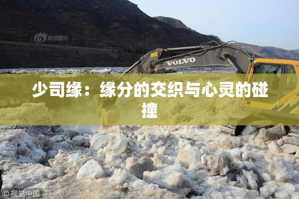 少司缘：缘分的交织与心灵的碰撞