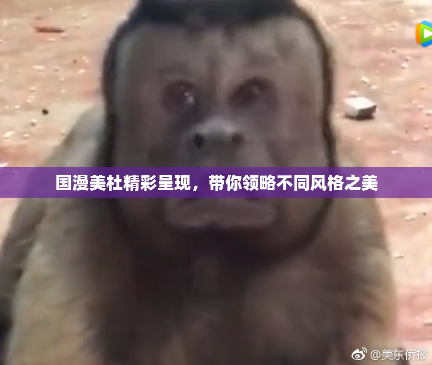 国漫美杜精彩呈现，带你领略不同风格之美