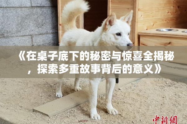 《在桌子底下的秘密与惊喜全揭秘，探索多重故事背后的意义》