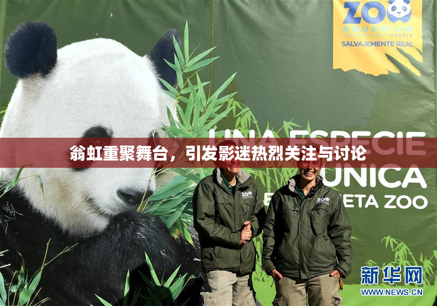 翁虹重聚舞台，引发影迷热烈关注与讨论