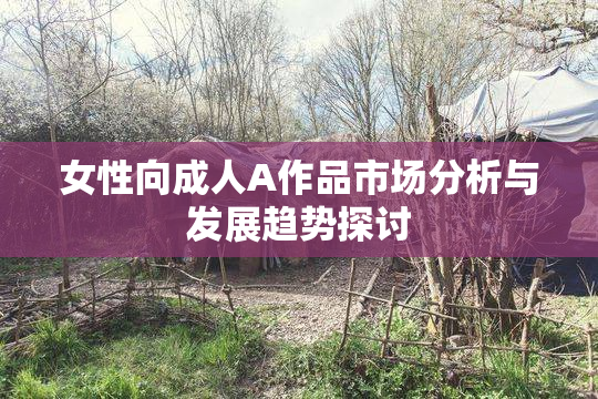 女性向成人A作品市场分析与发展趋势探讨