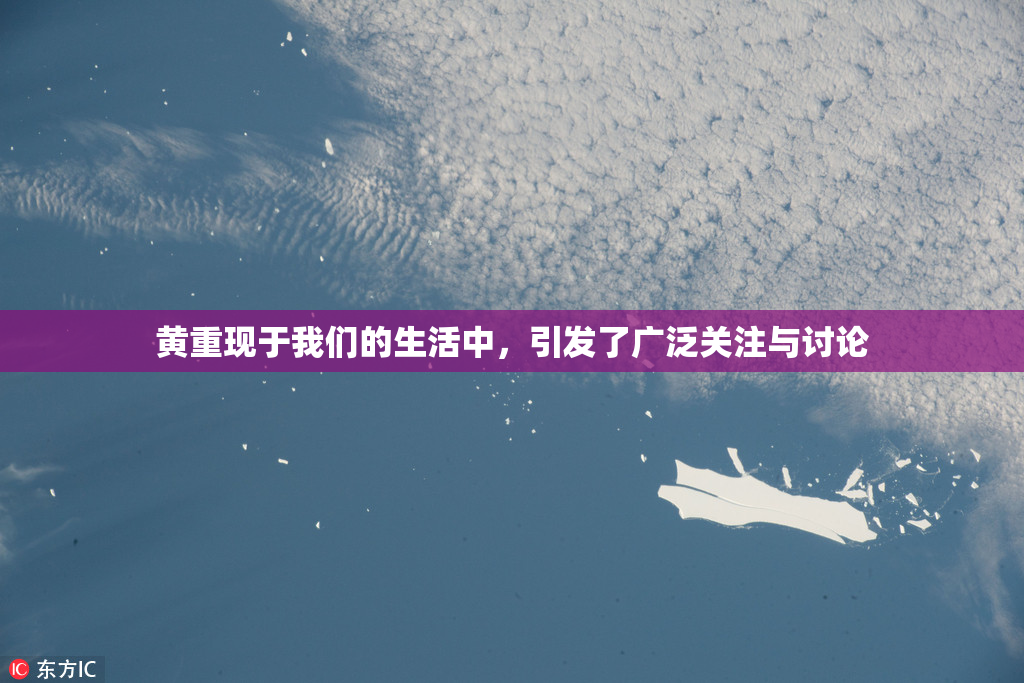 黄重现于我们的生活中，引发了广泛关注与讨论