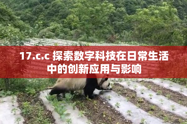 17.c.c 探索数字科技在日常生活中的创新应用与影响