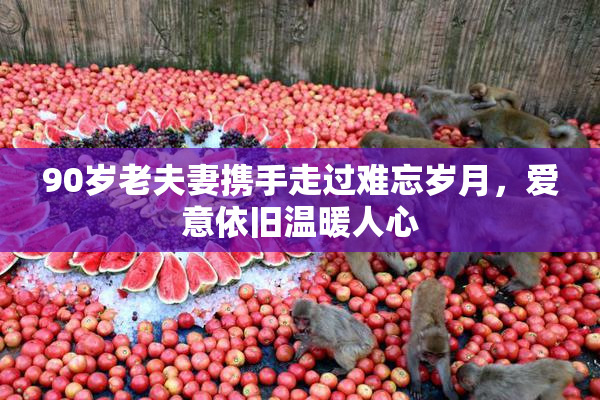 90岁老夫妻携手走过难忘岁月，爱意依旧温暖人心