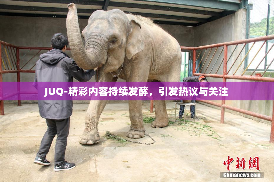 JUQ-精彩内容持续发酵，引发热议与关注
