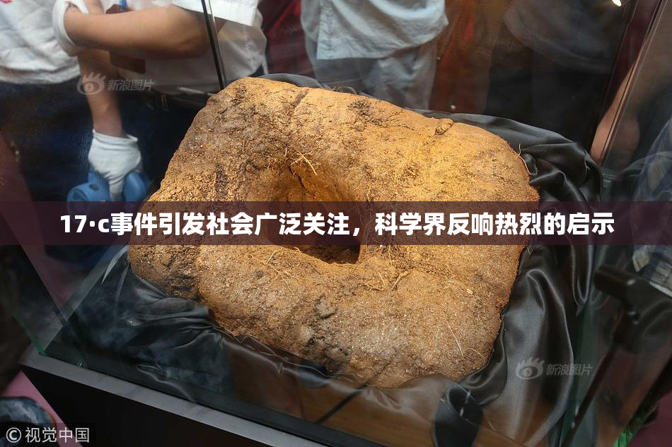 17·c事件引发社会广泛关注，科学界反响热烈的启示