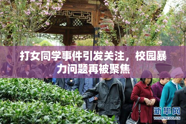 打女同学事件引发关注，校园暴力问题再被聚焦