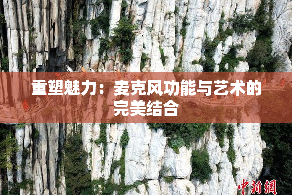 重塑魅力：麦克风功能与艺术的完美结合