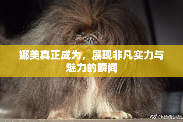 娜美真正成为，展现非凡实力与魅力的瞬间