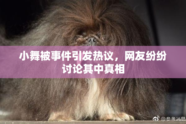 小舞被事件引发热议，网友纷纷讨论其中真相