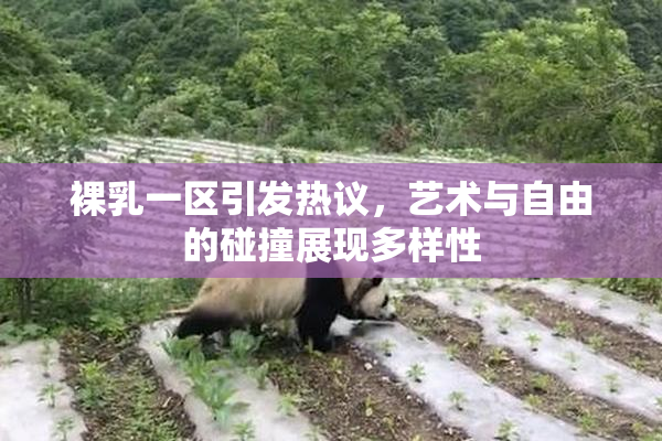 裸乳一区引发热议，艺术与自由的碰撞展现多样性