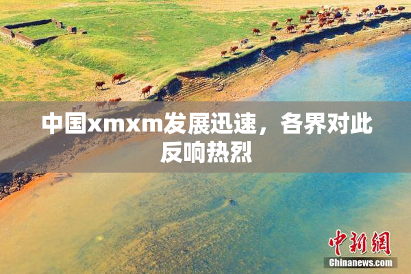 中国xmxm发展迅速，各界对此反响热烈