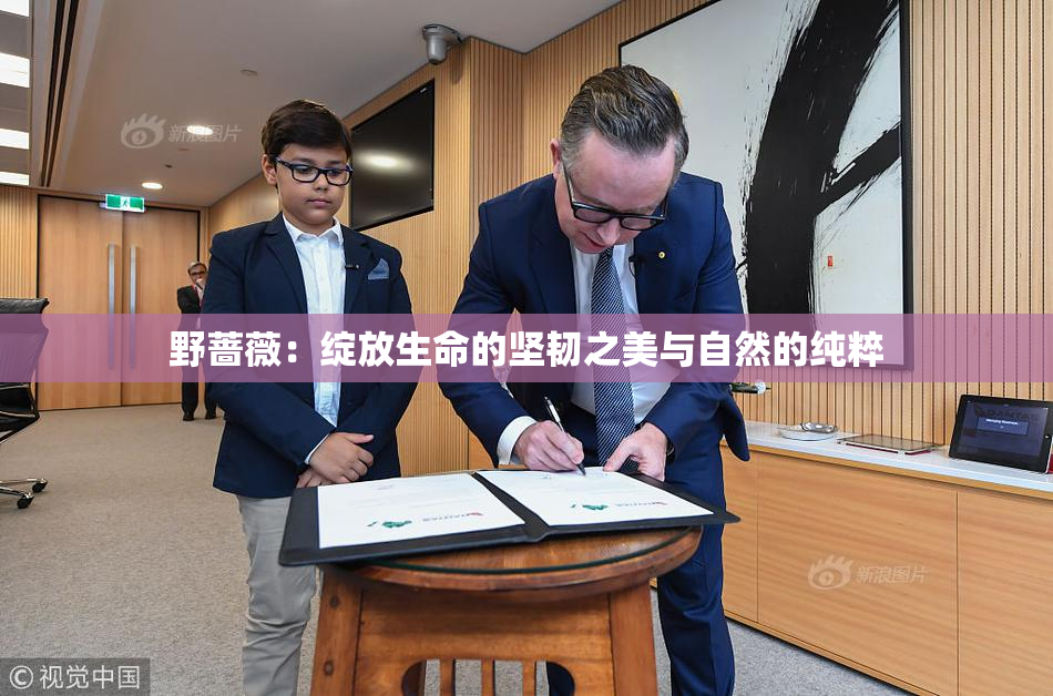 野蔷薇：绽放生命的坚韧之美与自然的纯粹