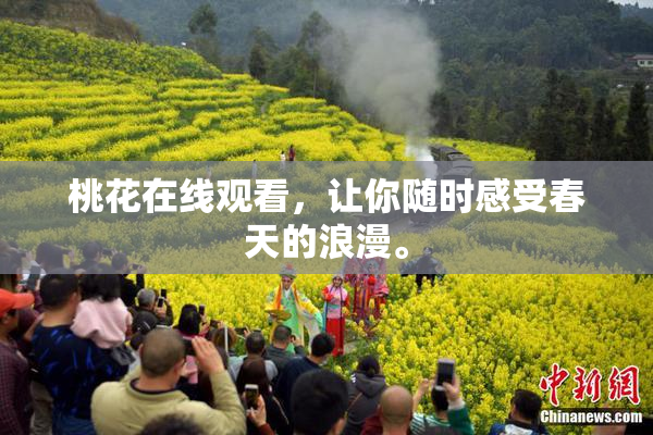桃花在线观看，让你随时感受春天的浪漫。
