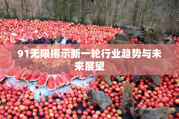 91无限揭示新一轮行业趋势与未来展望
