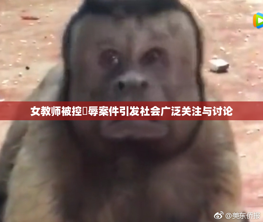 女教师被控婬辱案件引发社会广泛关注与讨论