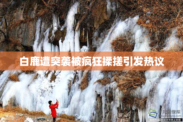 白鹿遭突袭被疯狂揉搓引发热议