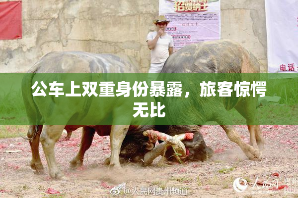公车上双重身份暴露，旅客惊愕无比