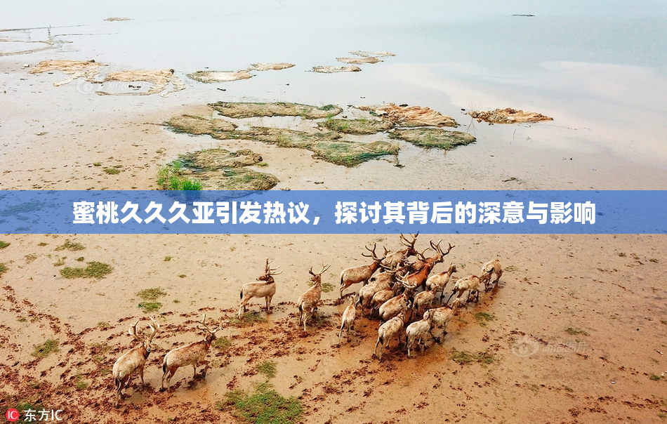 蜜桃久久久亚引发热议，探讨其背后的深意与影响