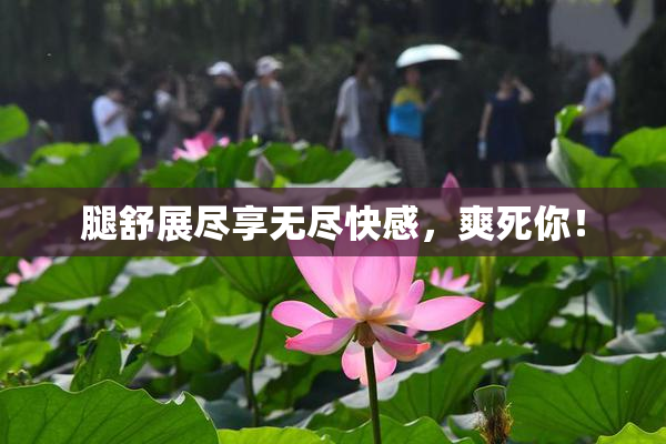 腿舒展尽享无尽快感，爽死你！