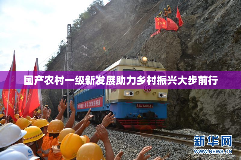 国产农村一级新发展助力乡村振兴大步前行