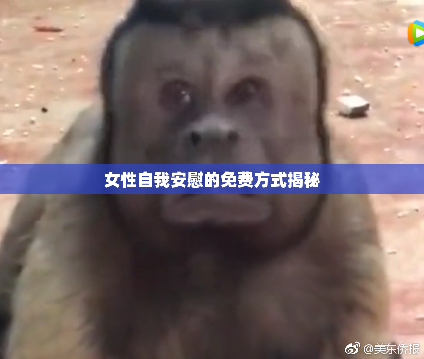女性自我安慰的免费方式揭秘