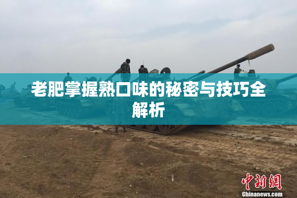 老肥掌握熟口味的秘密与技巧全解析