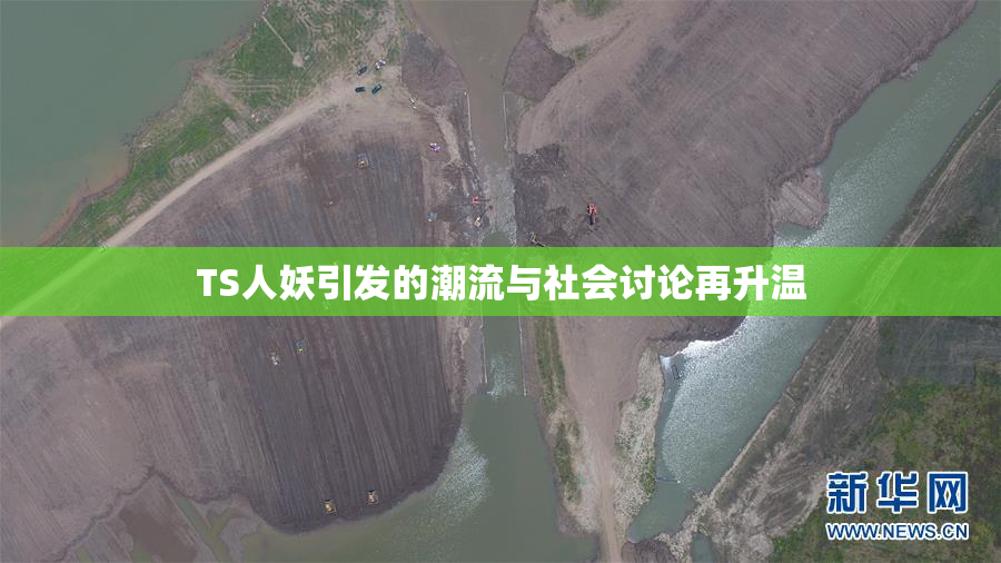 TS人妖引发的潮流与社会讨论再升温