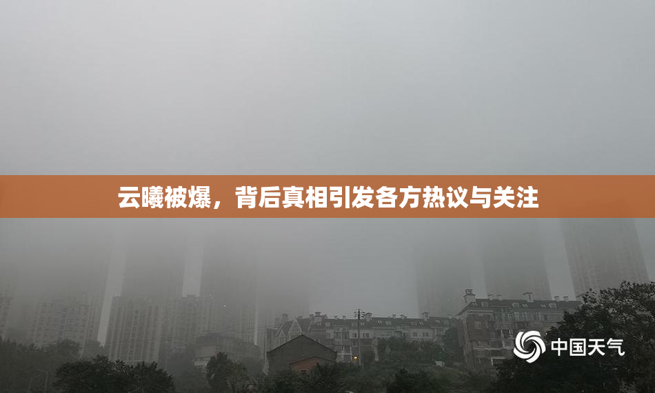 云曦被爆，背后真相引发各方热议与关注