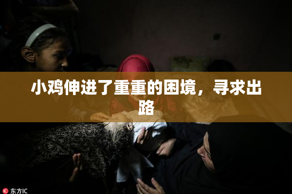 小鸡伸进了重重的困境，寻求出路