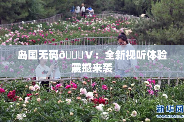 岛国无码🈚Ⅴ：全新视听体验震撼来袭