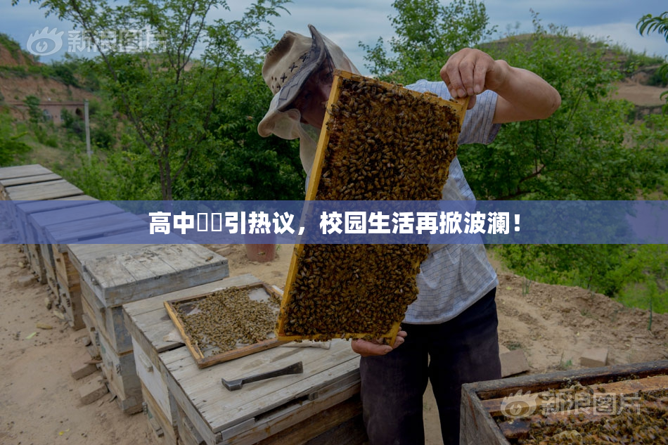 高中妺妺引热议，校园生活再掀波澜！
