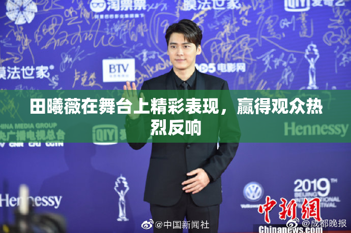 田曦薇在舞台上精彩表现，赢得观众热烈反响