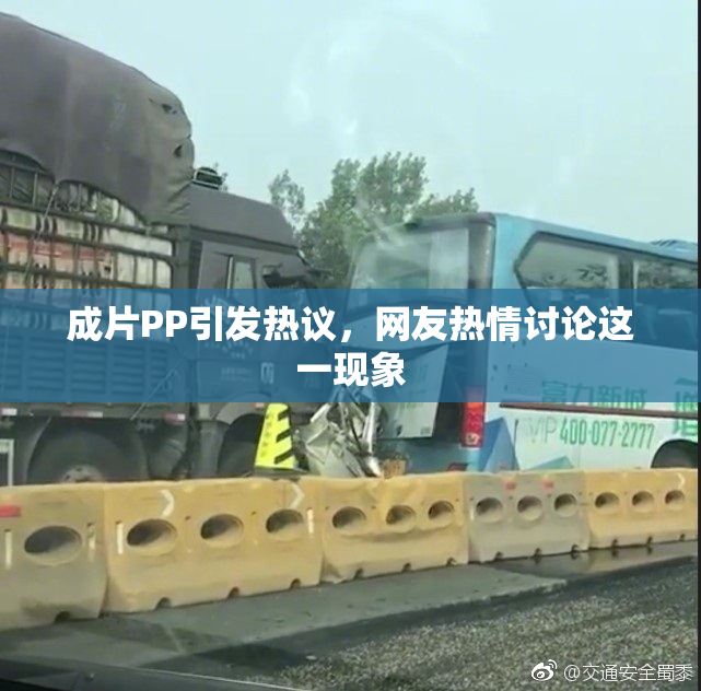 成片PP引发热议，网友热情讨论这一现象
