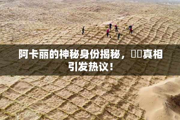 阿卡丽的神秘身份揭秘，❌‌真相引发热议！