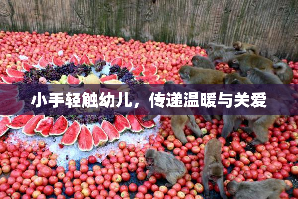 小手轻触幼儿，传递温暖与关爱