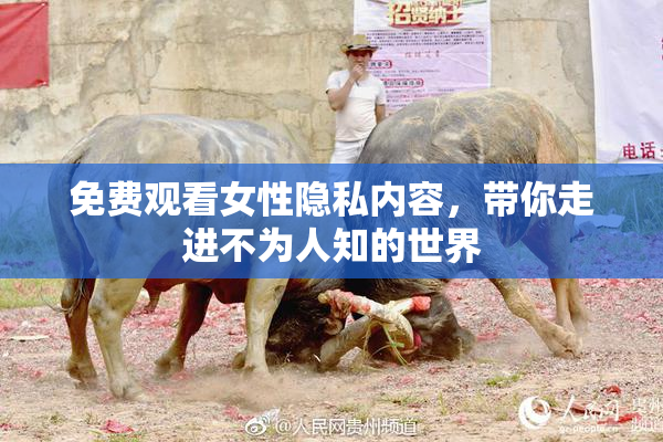 免费观看女性隐私内容，带你走进不为人知的世界