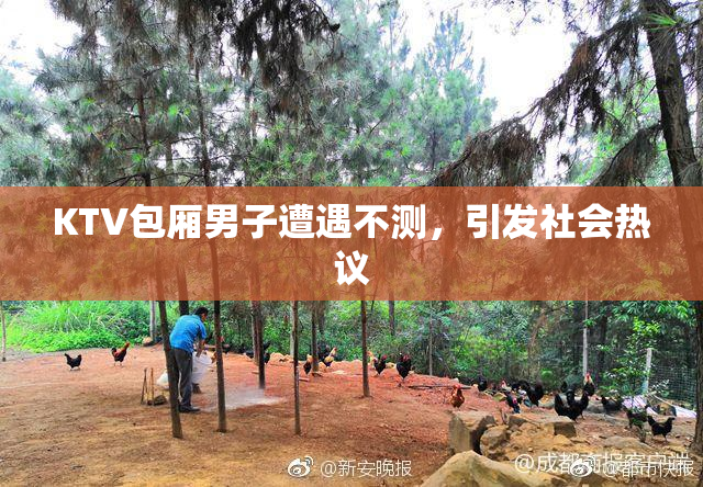 KTV包厢男子遭遇不测，引发社会热议