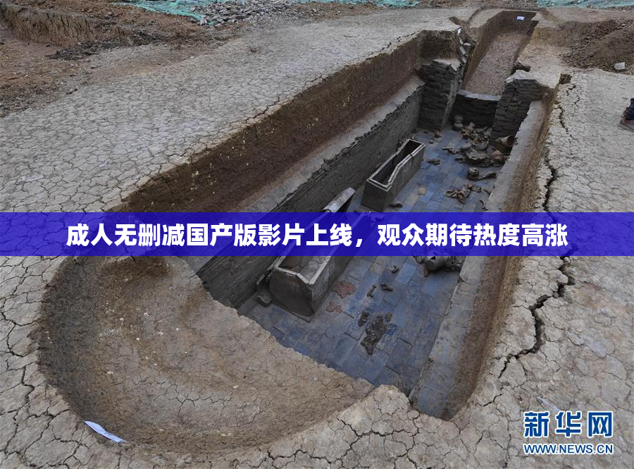 成人无删减国产版影片上线，观众期待热度高涨