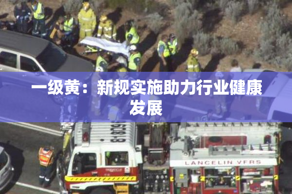 一级黄：新规实施助力行业健康发展