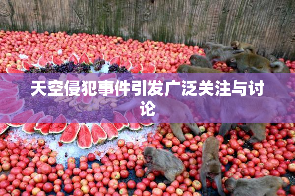 天空侵犯事件引发广泛关注与讨论