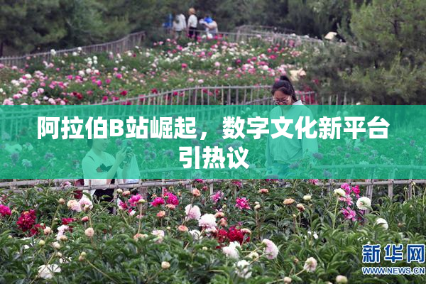 阿拉伯B站崛起，数字文化新平台引热议