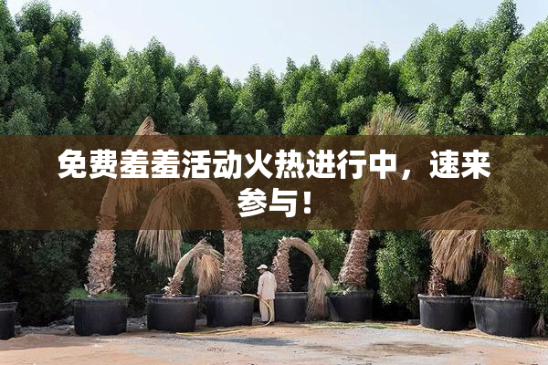 免费羞羞活动火热进行中，速来参与！