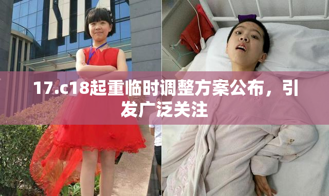 17.c18起重临时调整方案公布，引发广泛关注