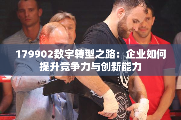 179902数字转型之路：企业如何提升竞争力与创新能力